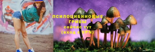 метадон Зерноград