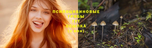 спайс Дегтярск