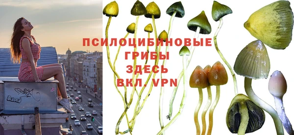 крисы Зеленокумск